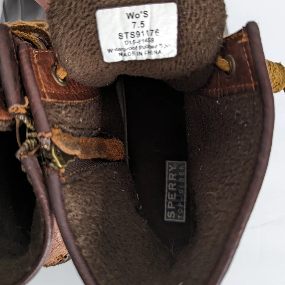 Sperry let this